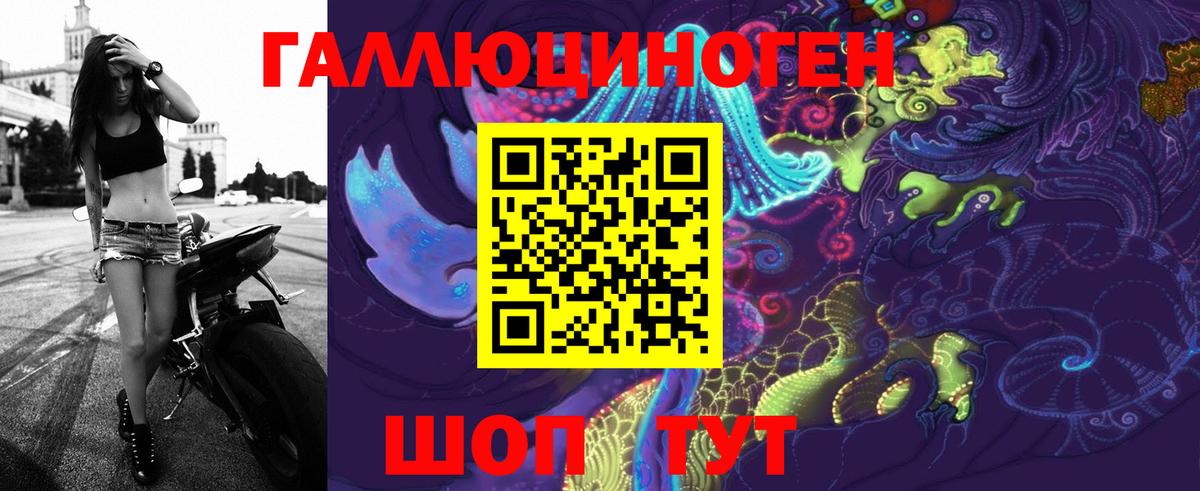 как найти закладки  Галлюциногенные грибы Psilocybe  Вход с VPN  Нальчик 